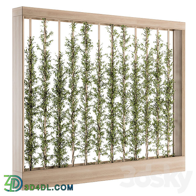 Fitowall Vertical Garden Wood Frame Plants Partition 22