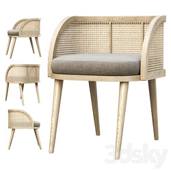 Rimma rattan dining chair DR77 Rattan dining chair 