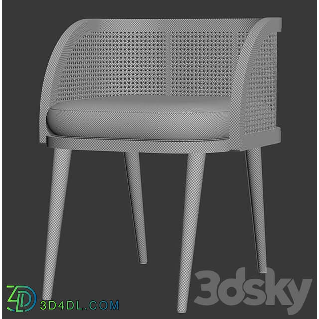 Rimma rattan dining chair DR77 Rattan dining chair