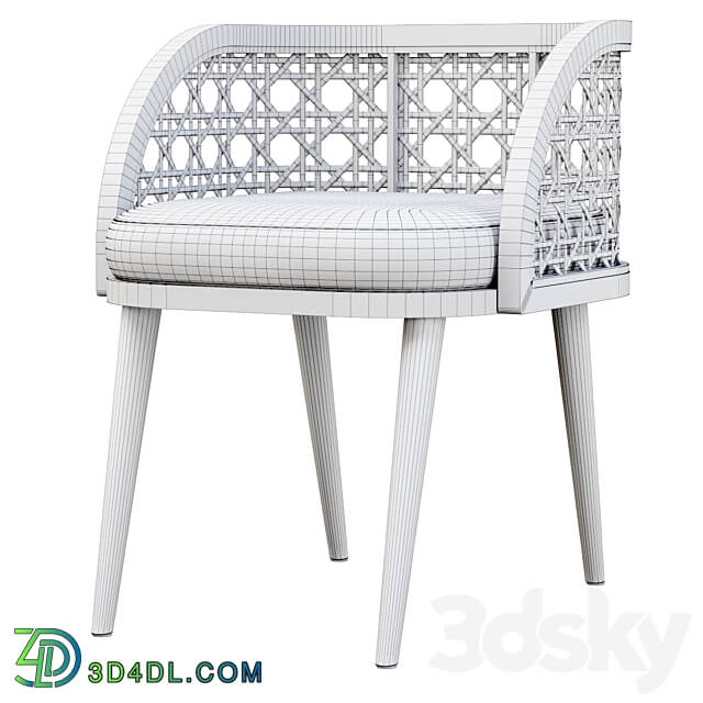 Rimma rattan dining chair DS66 Dining chair