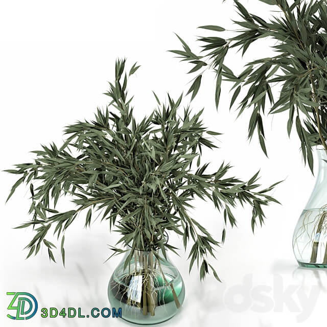 Green Branch in vase Bouquet 003