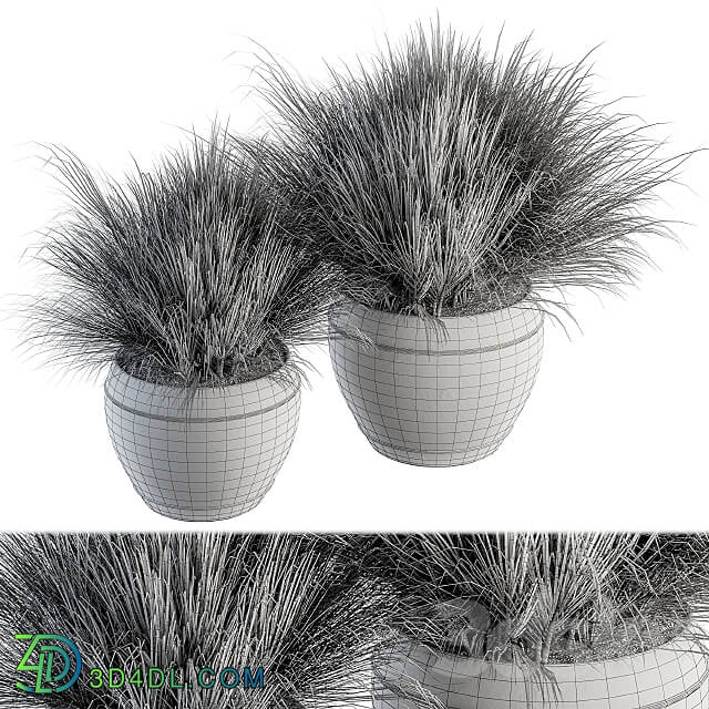 Outdoor Plant Set 204 Dried Grass in Pot