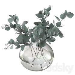 Eucalyptus bouquet 