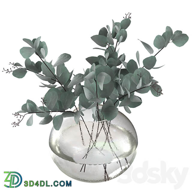 Eucalyptus bouquet