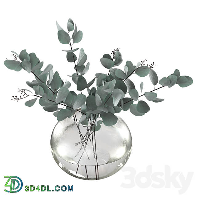 Eucalyptus bouquet