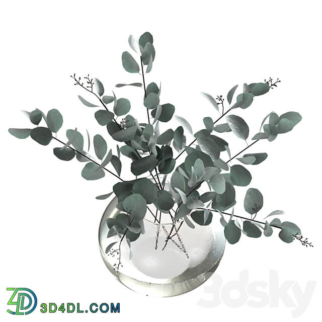 Eucalyptus bouquet