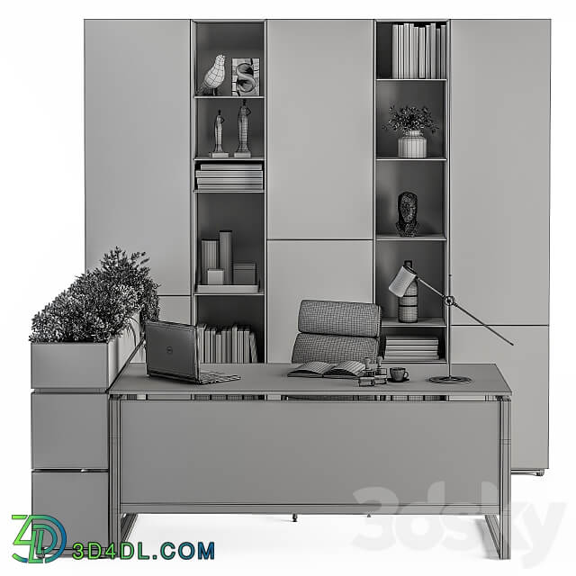 Office Furniture Manager Set 23