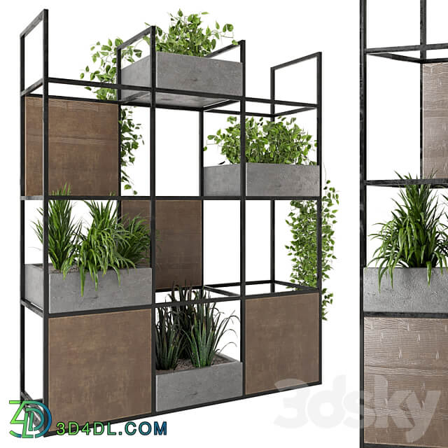 Indoor Plants in rusty Concrete Pot on Metal Shelf Set 122