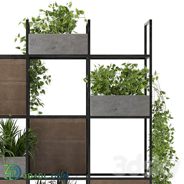 Indoor Plants in rusty Concrete Pot on Metal Shelf Set 122