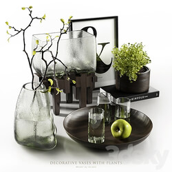 Decorative vases with plants 