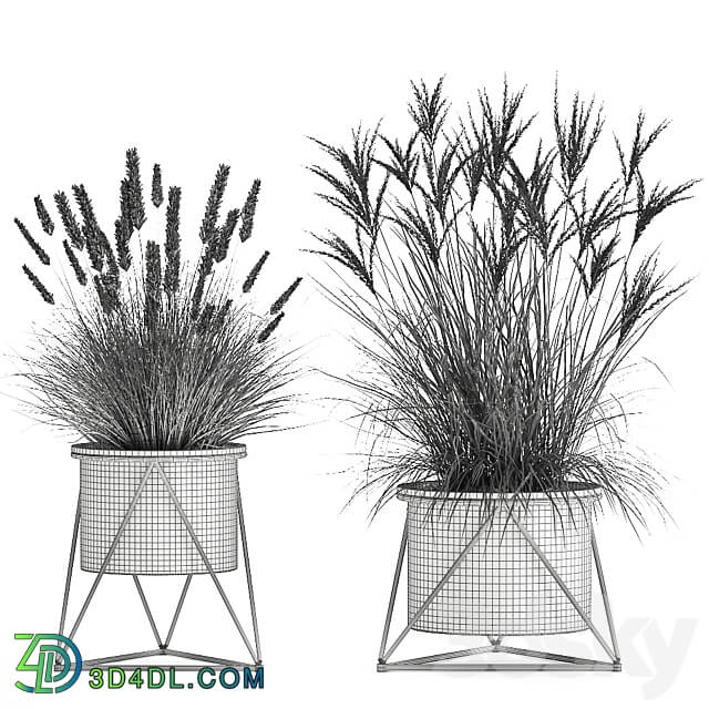 Plant collection 980. reeds grass landscaping bushes flowerpot industrial style rust outdoor 3D Models