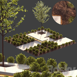 Other landscape design 