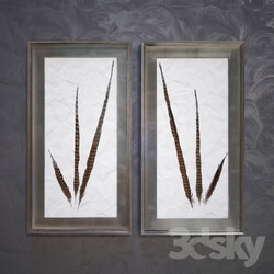 Pheasant Feathers 