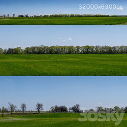 Panorama of a green field with flowers and trees. 32k 