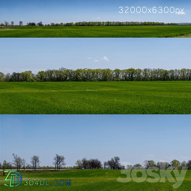 Panorama of a green field with flowers and trees. 32k