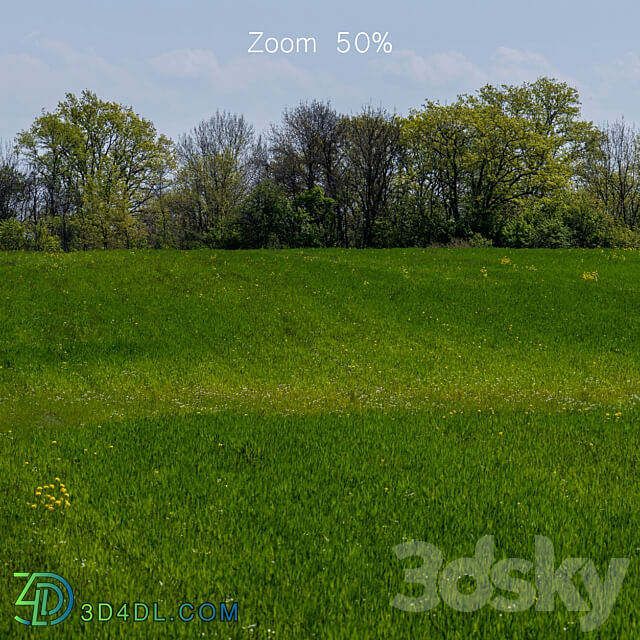 Panorama of a green field with flowers and trees. 32k