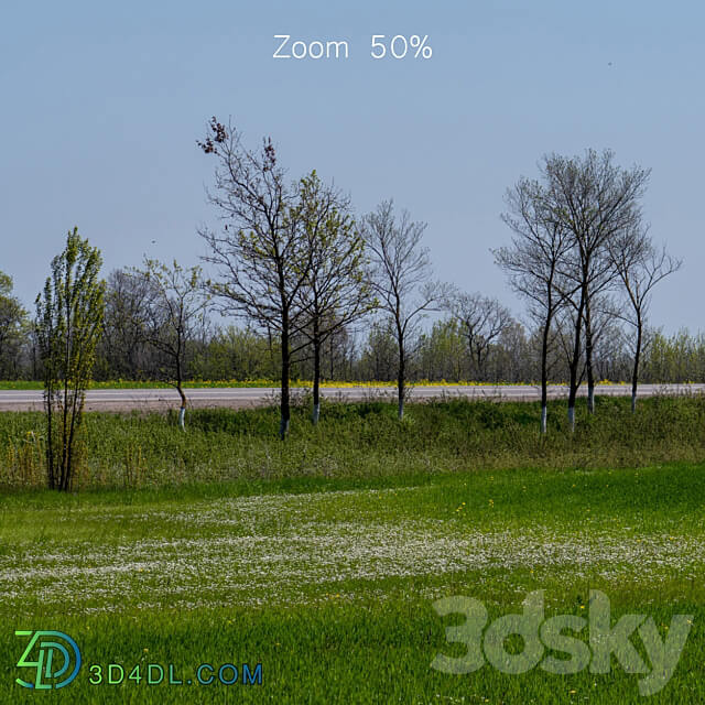 Panorama of a green field with flowers and trees. 32k