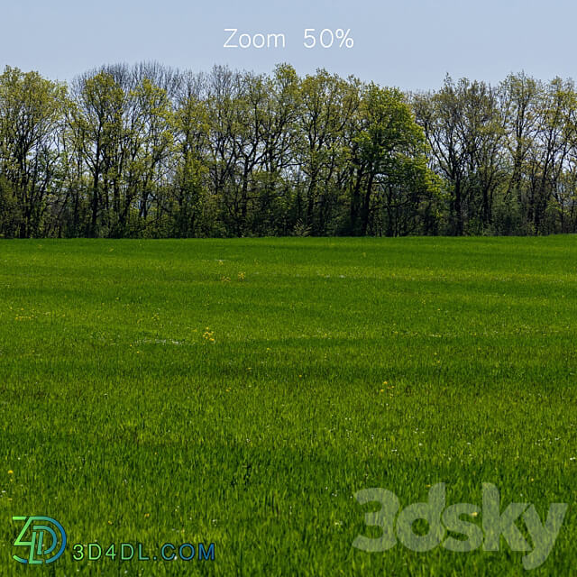 Panorama of a green field with flowers and trees. 32k