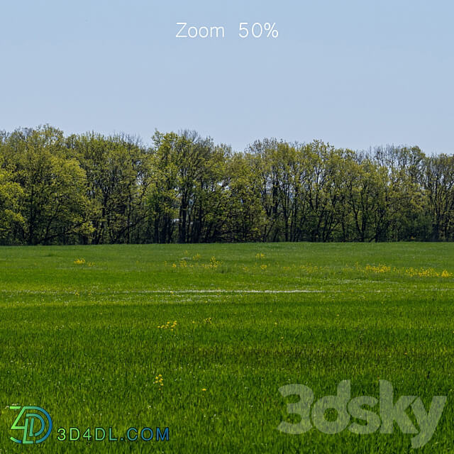 Panorama of a green field with flowers and trees. 32k