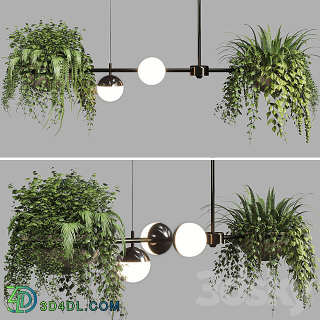 Pendant light pendant light Indoor outdoor plants hanging pot