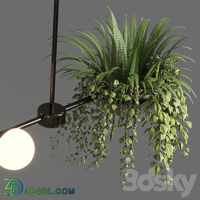 Pendant light pendant light Indoor outdoor plants hanging pot