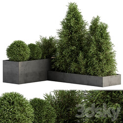 Outdoor Plant Set 231 Plant Box with Tree 