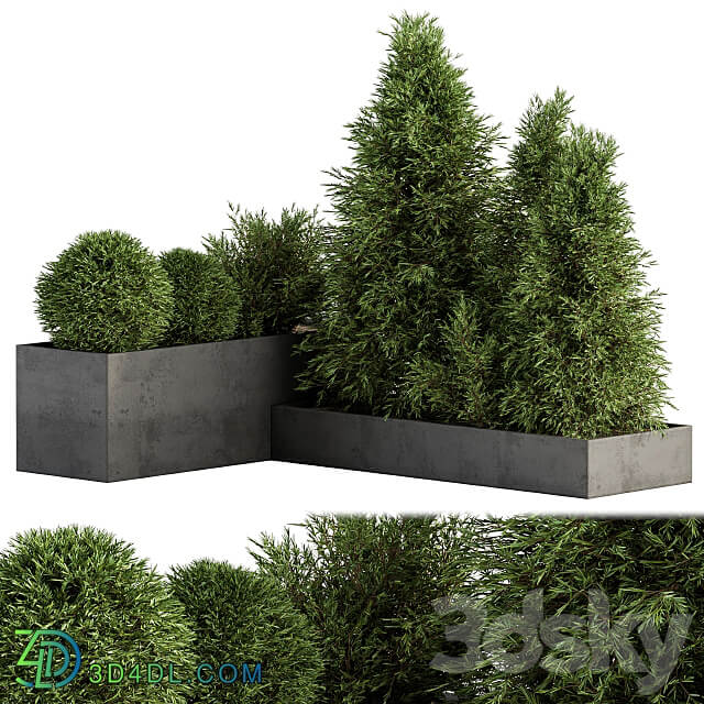 Outdoor Plant Set 231 Plant Box with Tree