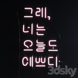 Other decorative objects Neon Set 015 Korean Neon Sign 