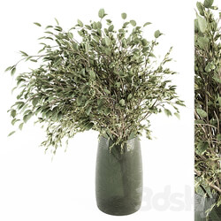 Green Branch in vase 59 