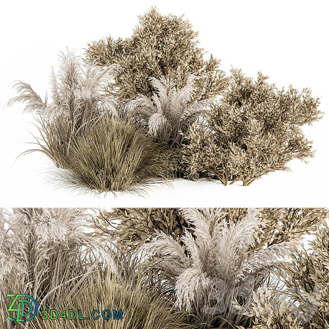 Dried Wild Plants Bush Set 36