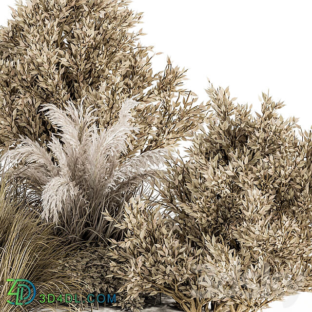 Dried Wild Plants Bush Set 36