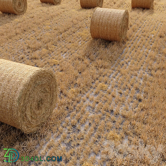 Farm field with hay bale