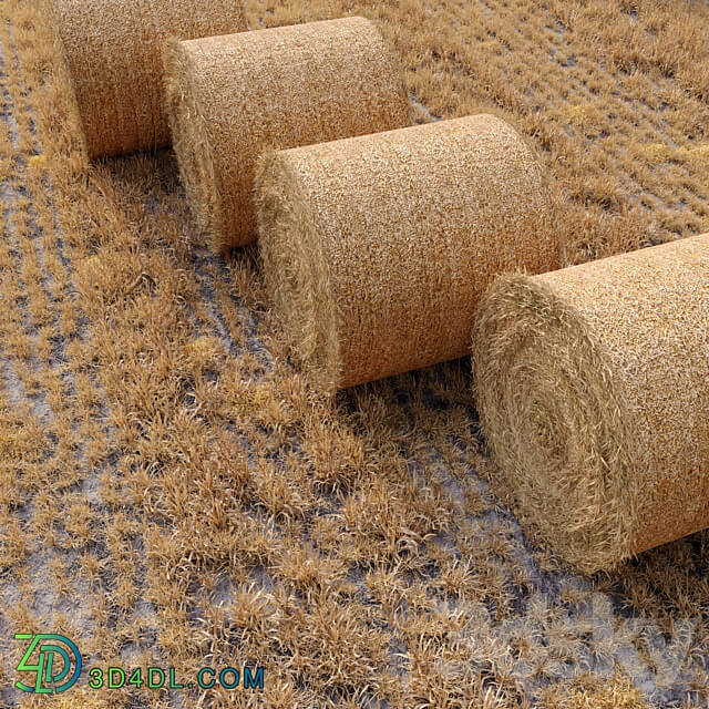 Farm field with hay bale