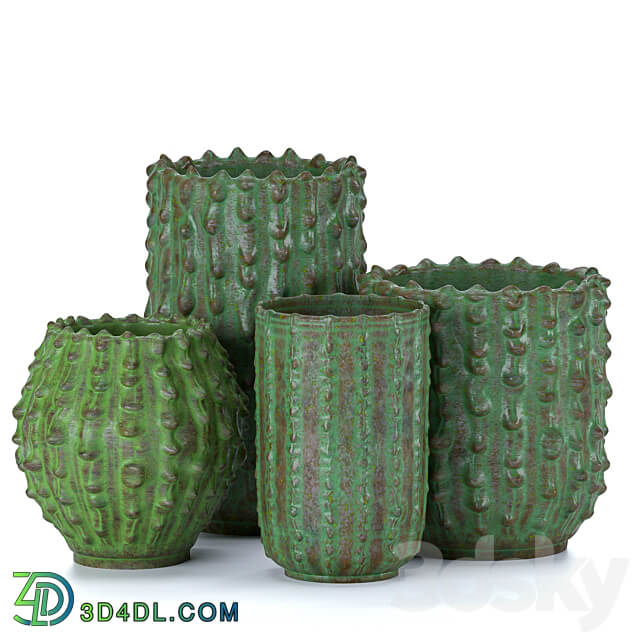 Decorative vases Cactus