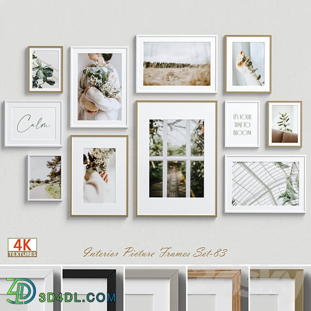 Interior Picture Frames Set 83