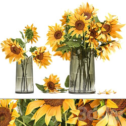 Set of yellow bouquets of flowers 119. Sunflower vase flowers bouquets yellow flowers decorative decor decoration 3D Models 