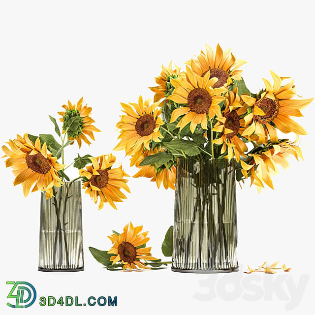 Set of yellow bouquets of flowers 119. Sunflower vase flowers bouquets yellow flowers decorative decor decoration 3D Models