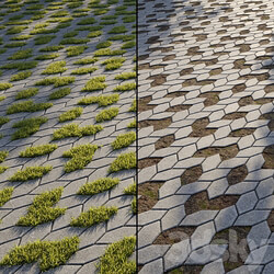 Eco paving Type 1 Pattern 6 