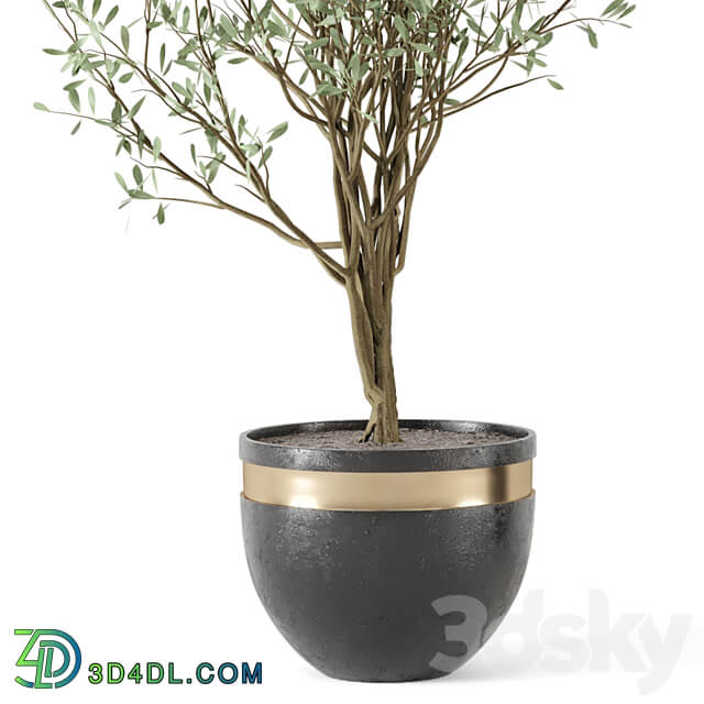 Outdoor bush and Tree in rusty Concrete Pot Set 204