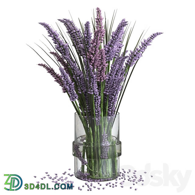 Lavender bouquet