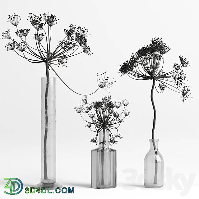 Bouquet Set 01 Vase Glass Dry Hogweed