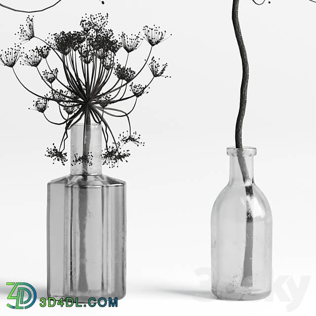 Bouquet Set 01 Vase Glass Dry Hogweed