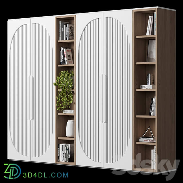 Cabinet with shelves 11 Wardrobe Display cabinets 3D Models