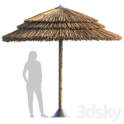 Other Beach umbrella 