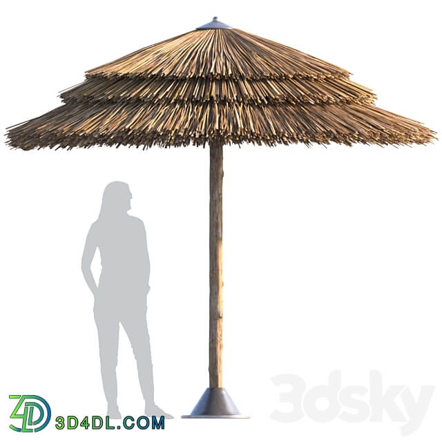 Other Beach umbrella