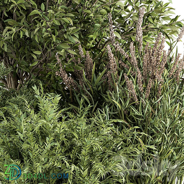 Mixed Plant Bush Set 37