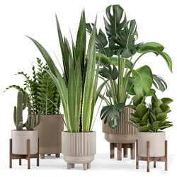 Indoor Plants in Standing Legs Small Bowl Concrete Pot Set 245 3D Models 