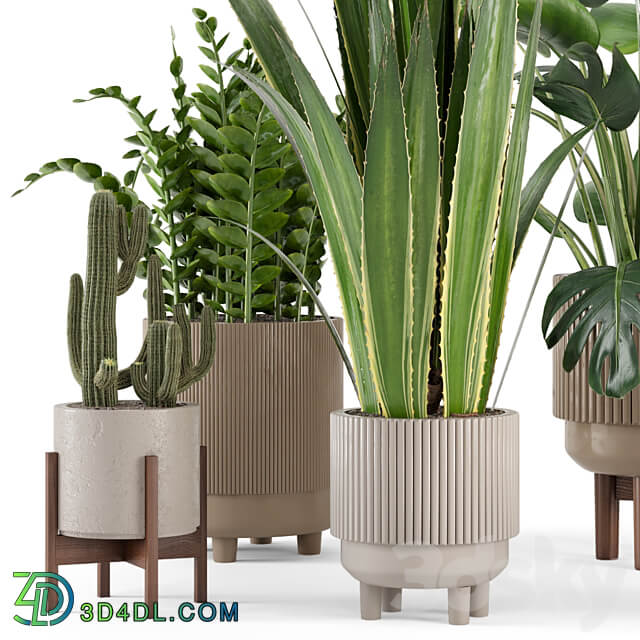 Indoor Plants in Standing Legs Small Bowl Concrete Pot Set 245 3D Models