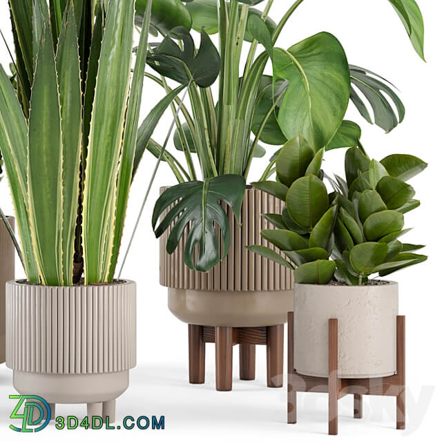 Indoor Plants in Standing Legs Small Bowl Concrete Pot Set 245 3D Models