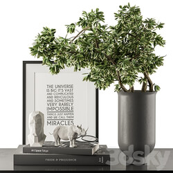 Black and Green Decorative Set with Plants Set 77 